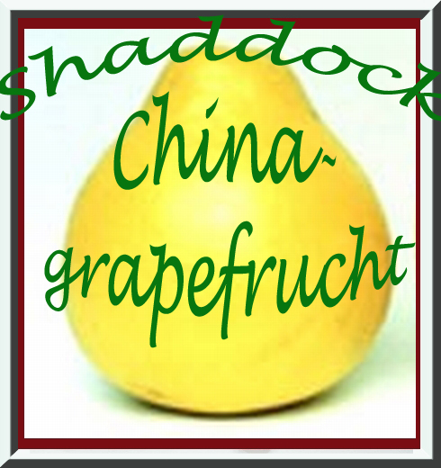 Shaddock Fruit-Taste, PG 16mg, new taste