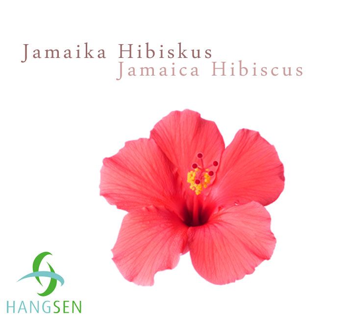 MHD Jamaika Hibiskus Aroma, 5ml