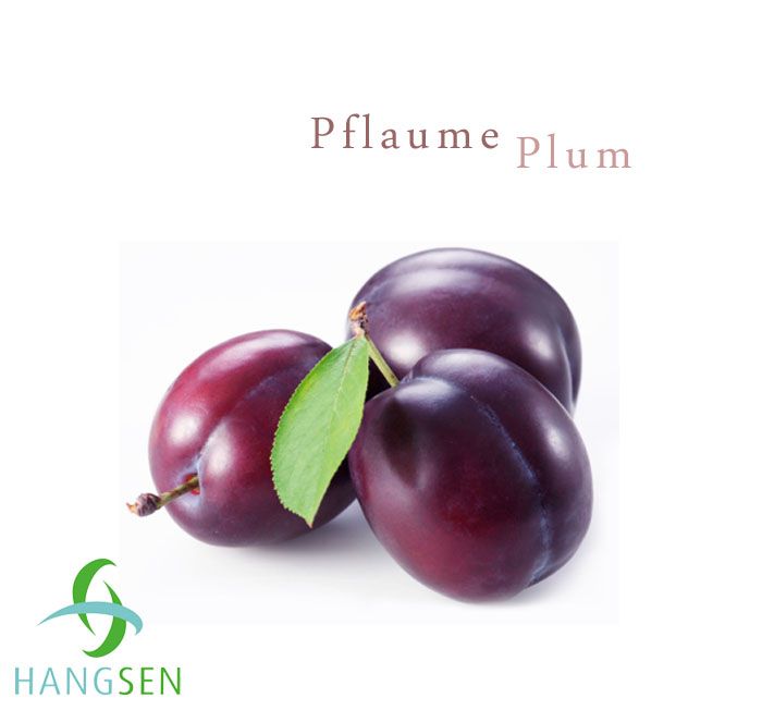Pflaume Liquid, PG 16mg